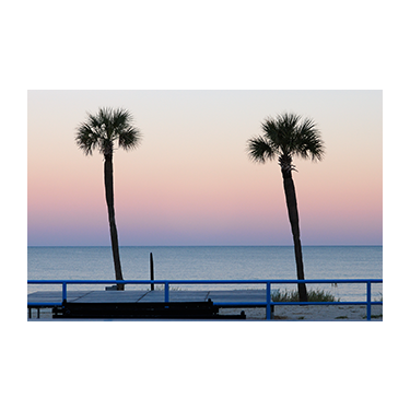 Palms, Myrtle Beach, SC
